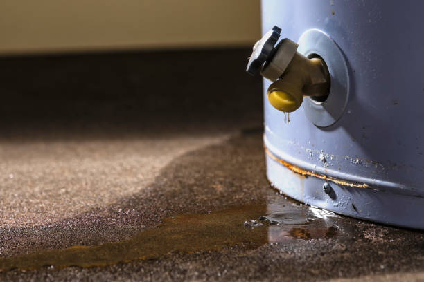 Best Sewage cleanup and water damage restoration  in Mans, CO