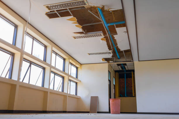 Best Water damage restoration process  in Mans, CO
