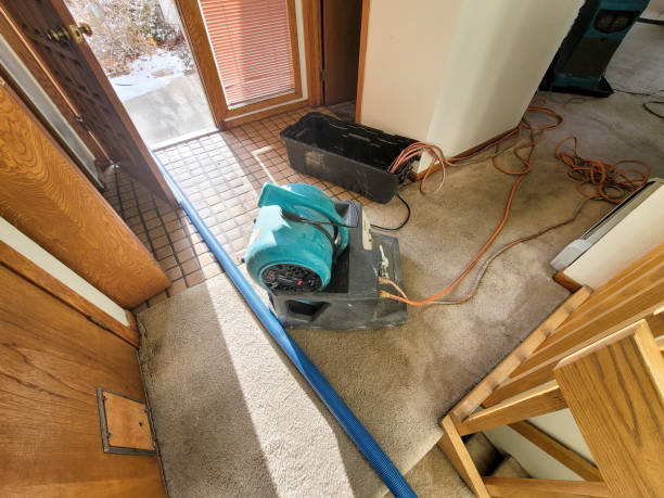 Best Water damage contractors near me  in Mans, CO
