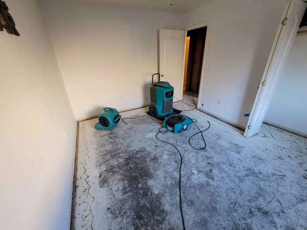 Best Fire Damage Restoration  in Mans, CO