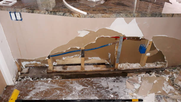Best Mold removal after water damage  in Mans, CO